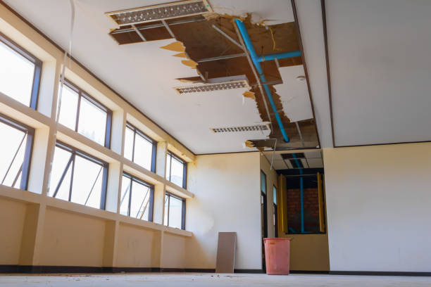 Water damage restoration mold remediation in Harrison, NJ