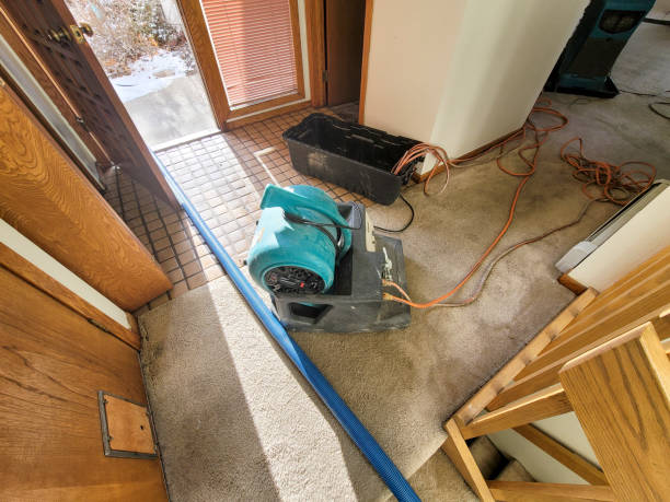  Harrison, NJ Water damage restoration Pros