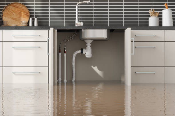 Best Local water damage restoration  in Harrison, NJ