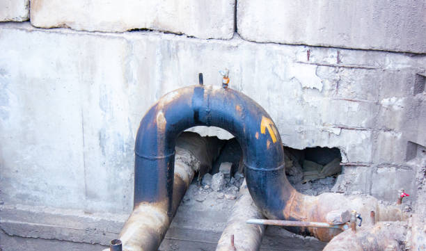 Best Professional water damage repair  in Harrison, NJ