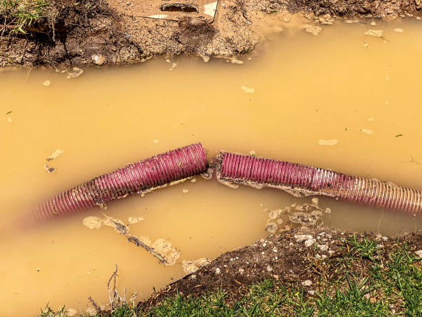 Best Sewage cleanup and water damage restoration  in Harrison, NJ